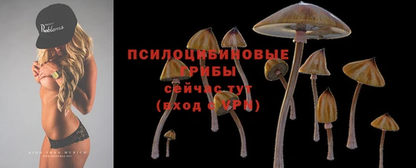 дмт Балабаново