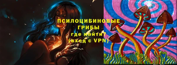 эйфоретик Баксан