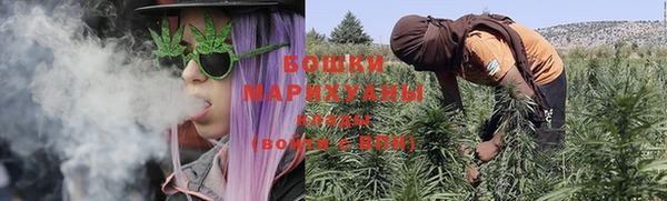 эйфоретик Баксан